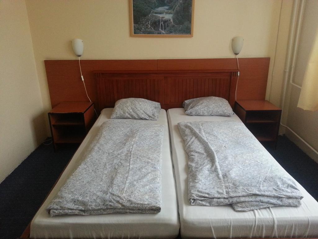 Carmen Pension Budapest Ruang foto